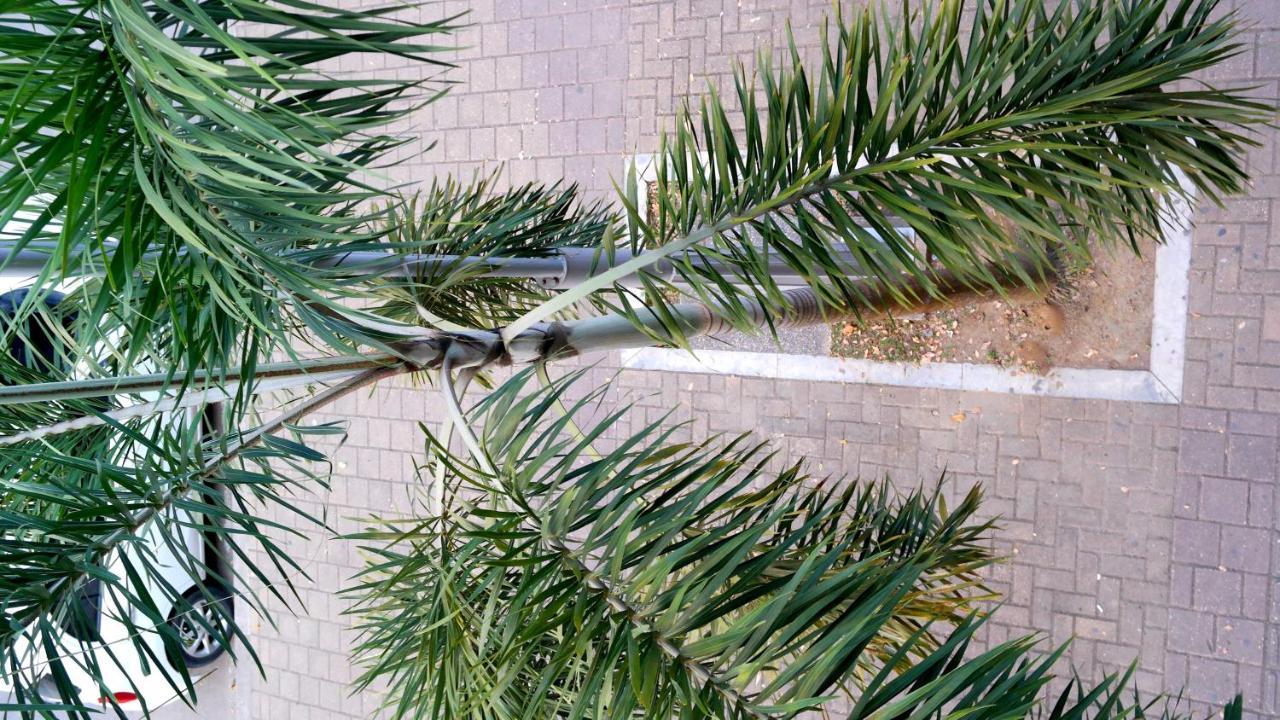 Hotel Sama Montería Εξωτερικό φωτογραφία